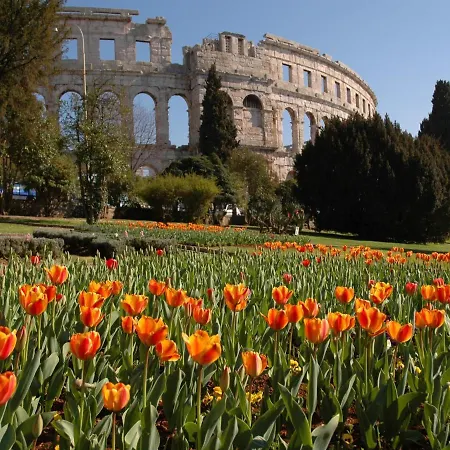 Point * Pula