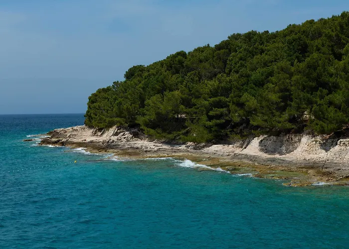 Point Διαμέρισμα