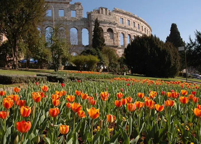 Point * Pula